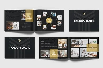Tandem Basis Brochure and Business Card